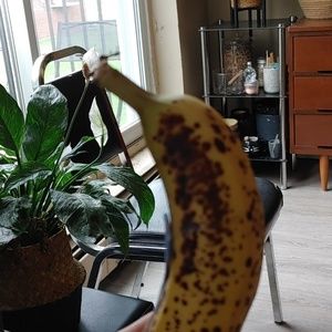 Meet your Posher, Israel